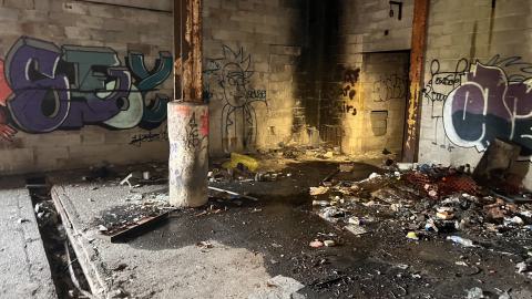 Robson Roof - IMG_0381.jpg