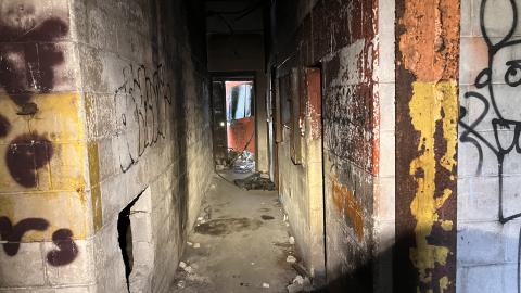 Robson Roof - IMG_0383.jpg