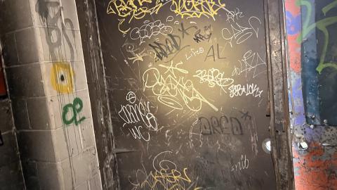 Robson Roof - IMG_0386.jpg