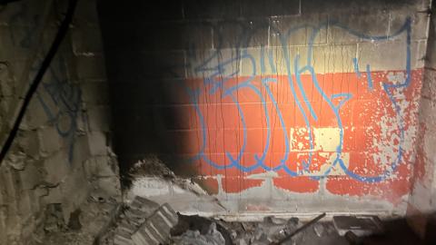 Robson Roof - IMG_0388.jpg