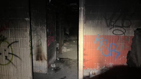 Robson Roof - IMG_0390.jpg