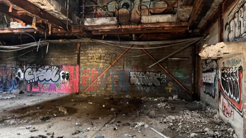 Robson Roof - IMG_0395.jpg