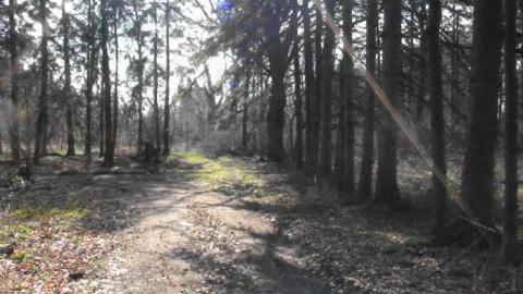 377 shaver Road - DSC04430.jpg