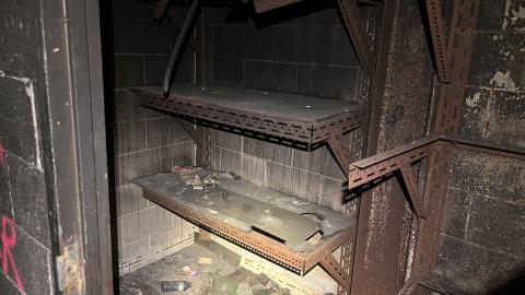 Robson Roof - IMG_0394.jpg