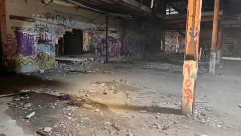 Robson Roof - IMG_0397.jpg