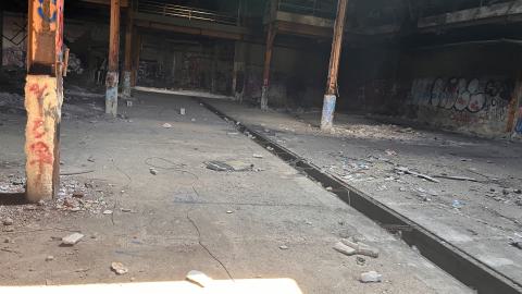 Robson Roof - IMG_0396.jpg