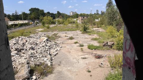 Robson Roof - IMG_0404.jpg