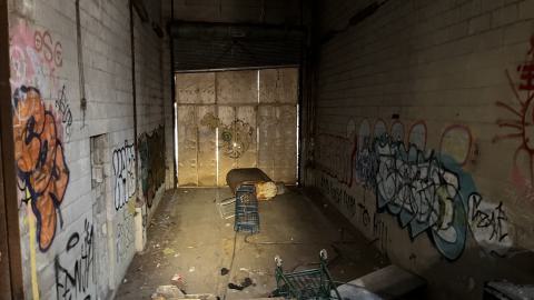 Robson Roof - IMG_0403.jpg