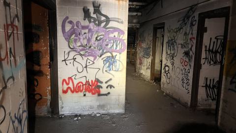 Robson Roof - IMG_0405.jpg