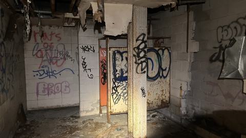 Robson Roof - IMG_0409.jpg