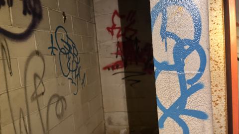 Robson Roof - IMG_0410.jpg