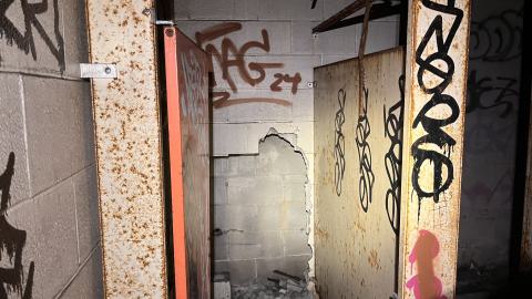 Robson Roof - IMG_0411.jpg