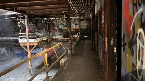 Robson Roof - IMG_0413.jpg