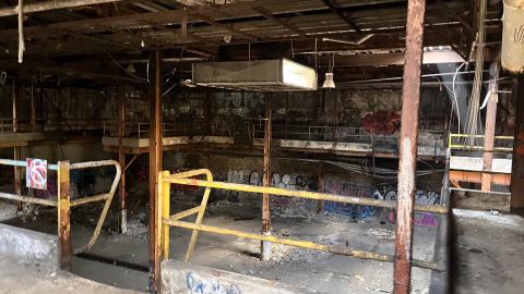 Robson Roof - IMG_0415.jpg