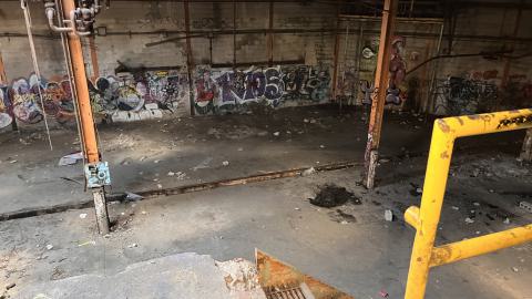 Robson Roof - IMG_0418.jpg