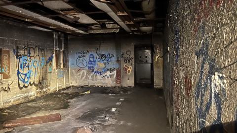 Robson Roof - IMG_0420.jpg