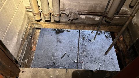 Robson Roof - IMG_0423.jpg