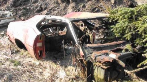 377 shaver Road - DSC04433.jpg