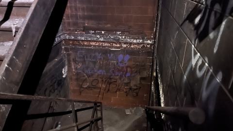 Robson Roof - IMG_0426.jpg