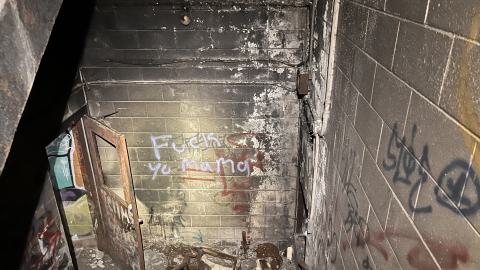 Robson Roof - IMG_0429.jpg