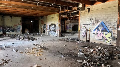 Robson Roof - IMG_0431.jpg