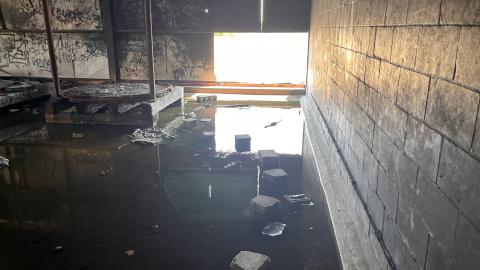 Robson Roof - IMG_0433.jpg