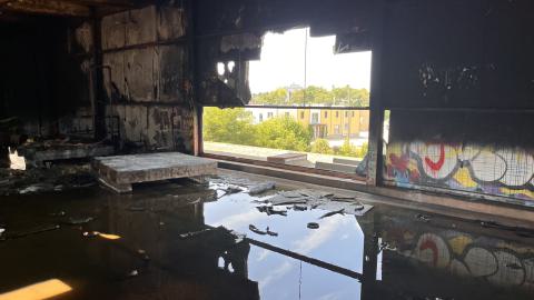 Robson Roof - IMG_0441.jpg