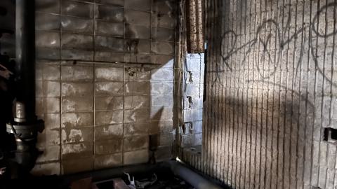 Robson Roof - IMG_0443.jpg