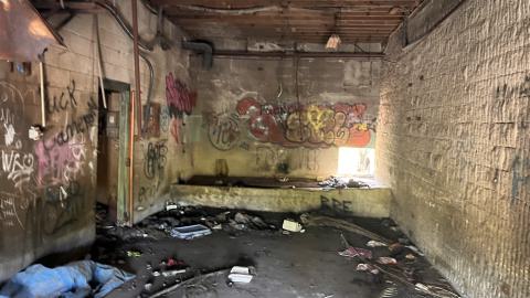 Robson Roof - IMG_0442.jpg