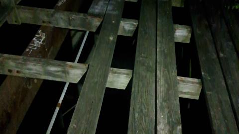 Photo from Belle Isle Zoo