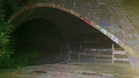 Belle Isle Zoo - 20240824_214153.jpg