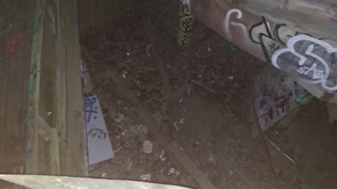 Belle Isle Zoo - 20240824_214239.jpg