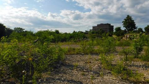 Post Demolition - PSX_20240826_233659.jpg