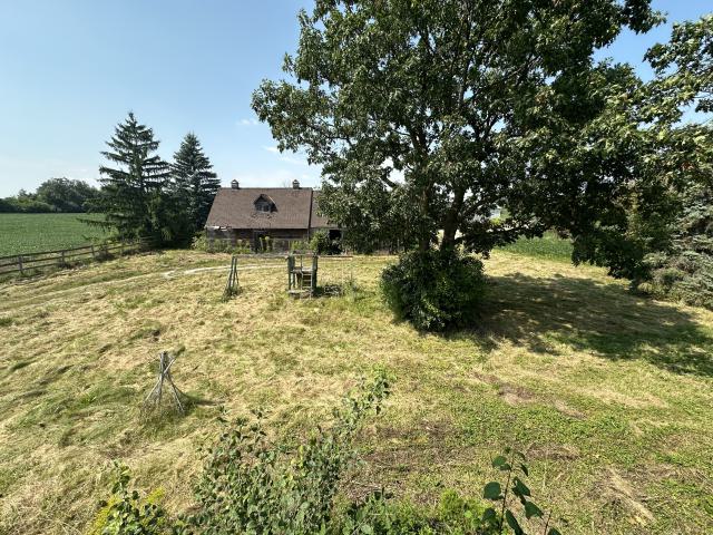 Burnhamthorpe Horse stable photo 2