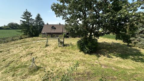 Burnhamthorpe Horse stable photo 2