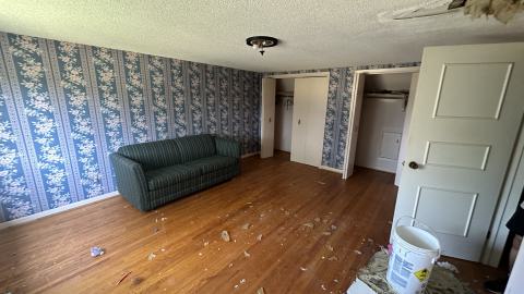 Burnhamthorpe Horse stable photo 5