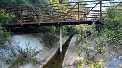 Drain to Sixteen Mile - IMG_7782.jpeg