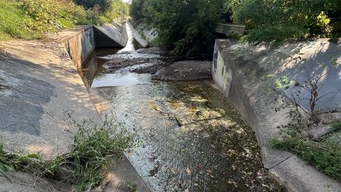 Drain to Sixteen Mile - IMG_7783.jpeg