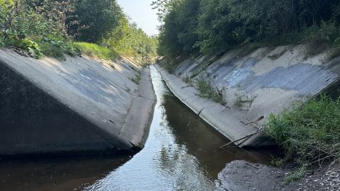 Drain to Sixteen Mile - IMG_7786.jpeg