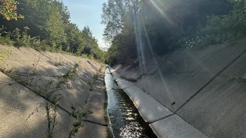 Drain to Sixteen Mile - IMG_7790.jpeg