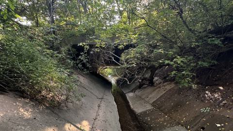 Drain to Sixteen Mile - IMG_7791.jpeg