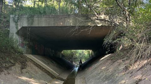 Drain to Sixteen Mile - IMG_7793.jpeg