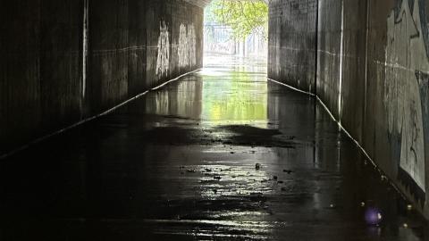 Drain to Sixteen Mile - IMG_7797.jpeg