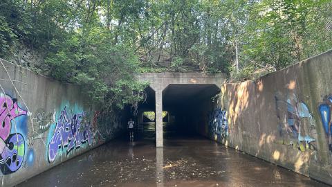 Morrison Wedgewood Diversion Channel - Oakville, Ontario