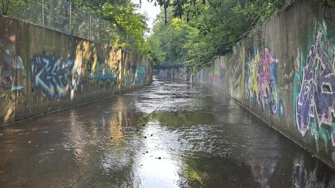 Drain to Sixteen Mile - IMG_7798.jpeg