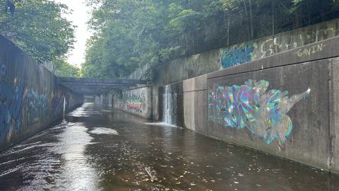 Drain to Sixteen Mile - IMG_7800.jpeg