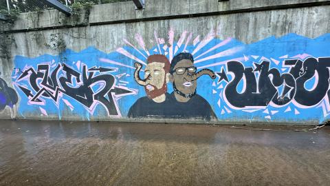 Drain to Sixteen Mile - IMG_7803.jpeg