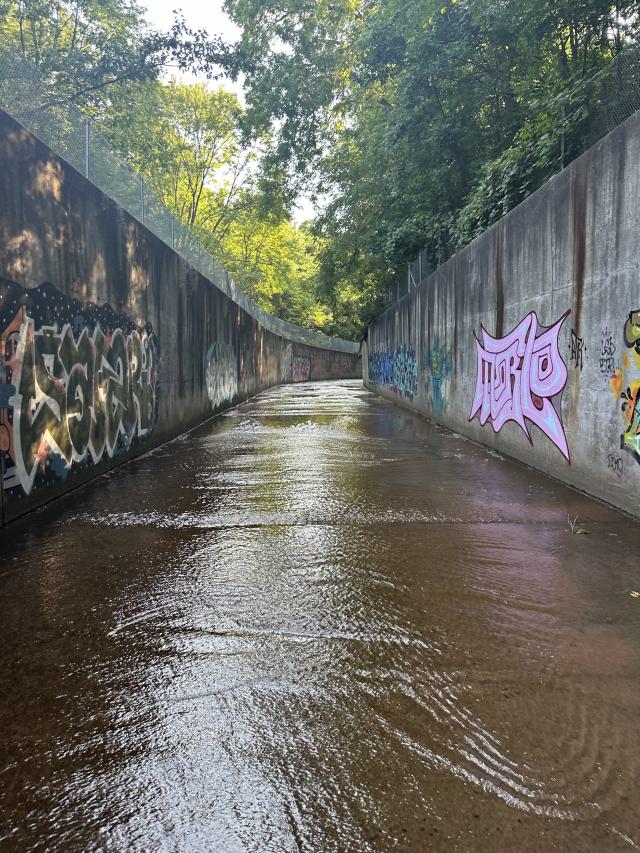 Morrison Wedgewood Diversion Channel photo 4