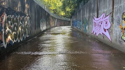 Morrison Wedgewood Diversion Channel photo 4