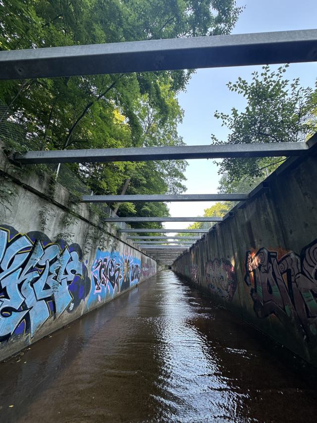 Morrison Wedgewood Diversion Channel photo 5